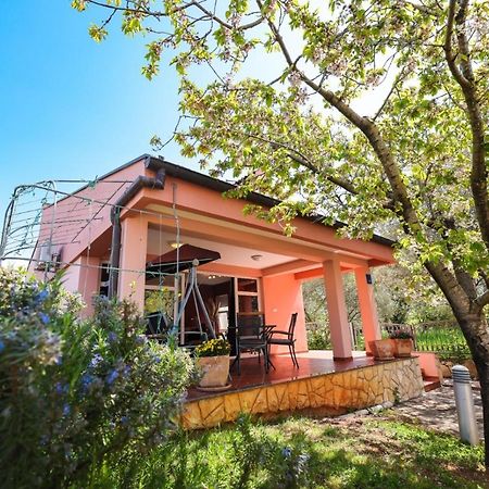 Holiday Home Cvita Sukošan المظهر الخارجي الصورة