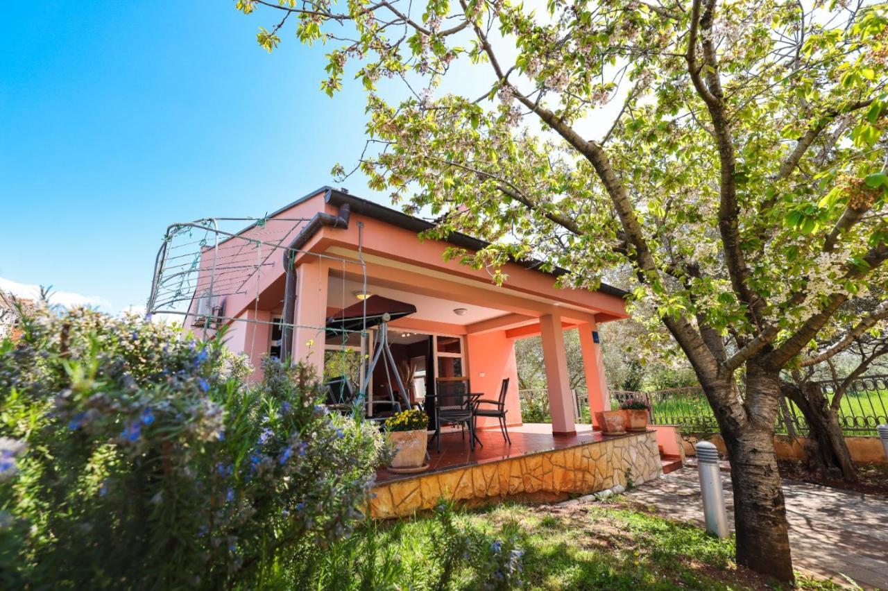 Holiday Home Cvita Sukošan المظهر الخارجي الصورة